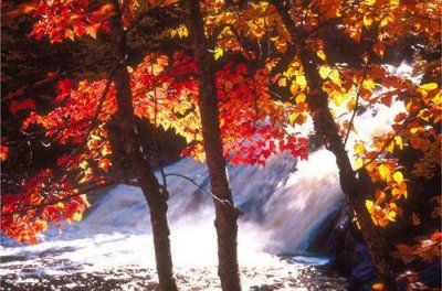 ​晚安语录发圈说说心情微语精选38句