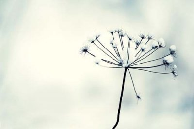 ​迎接五月发朋友圈的句子五月你好的心情说说(50句)