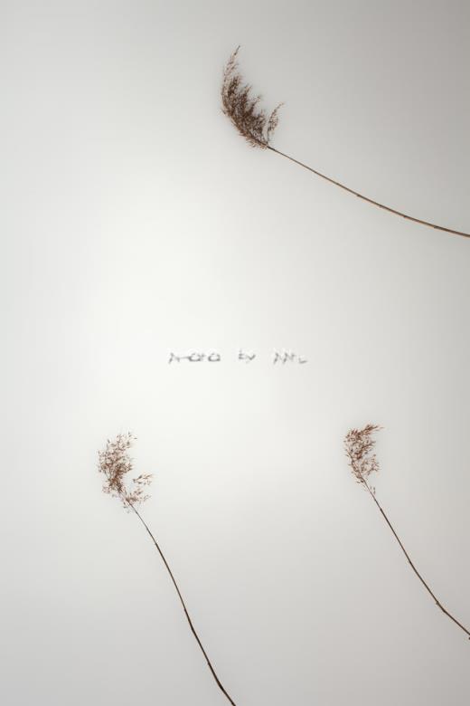 表达人内心痛苦的句子