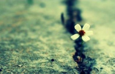 ​表达人内心痛苦的句子