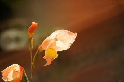 ​同在阳光下美好句子（21句心向阳光正能量的短句）