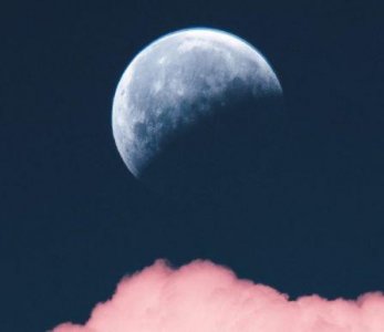 ​珍惜青春的励志名人名言大全 珍惜青春的名言(精选83句)