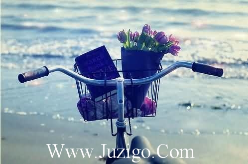 中考励志名言名句大全140句