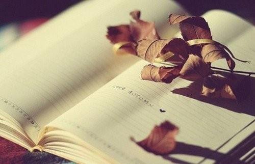 夜深人静的伤心心情短语