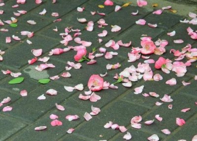 ​睡不着说说心情的句子