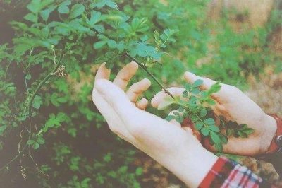 ​早安正能量的语句