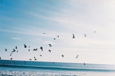 ​爱情励志英语名言