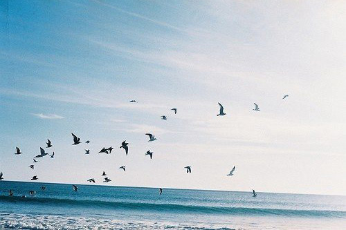 爱情励志英语名言