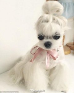 ​励志晚安正能量文字（晚安激励人心的正能量）