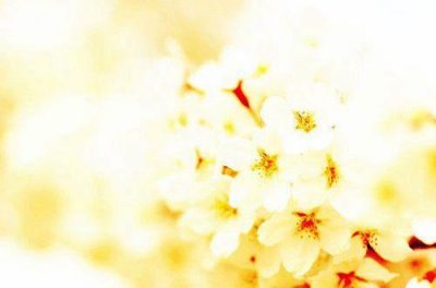 ​励志性签名119句