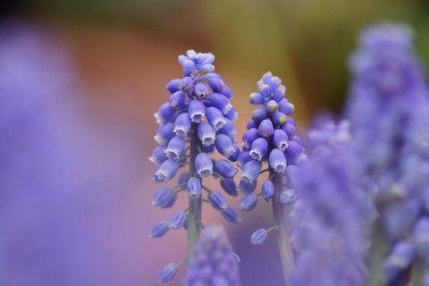 积极阳光的正能量语句