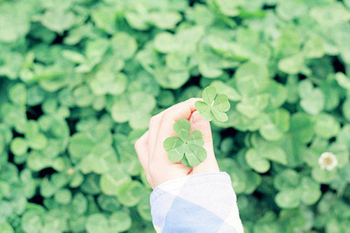 人生拼搏正能量励志句子早安语 拼搏正能量励志句子