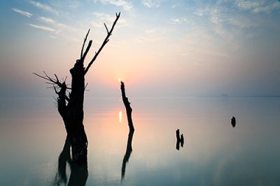 ​提升自己励志的句子人生不断提升自己的句子(86句)