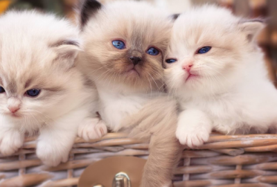 ​四月的开始的句子 四月的励志语(97句)