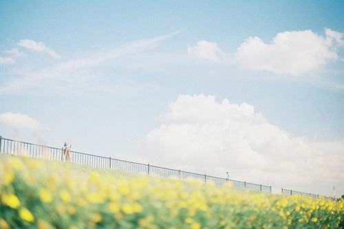 向女朋友道歉的话 道歉的话语(78句)
