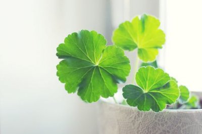 ​吃泡面配什么文案