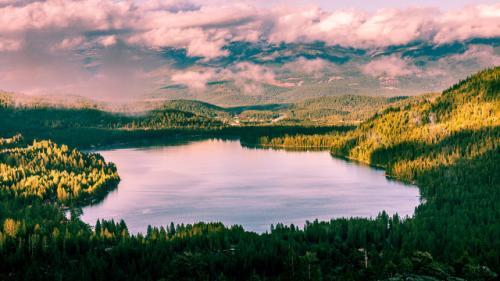 超级温柔的神仙句子 关于细节的温柔文案