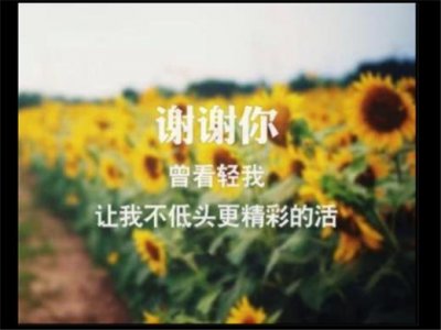 ​生活励志句子人生感悟 心灵鸡汤经典语录励志(36条)