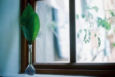 ​婚姻绝望说说心情短语