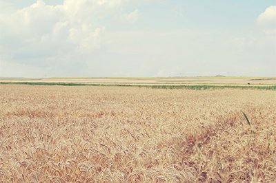 ​最新文案爱情伤感(精选54句)