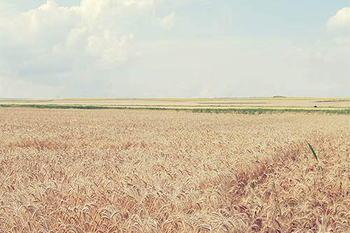 最新文案爱情伤感(精选54句)