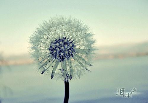 唯美励志语录短句