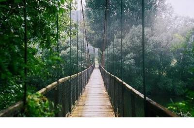 工作很累的心情语录