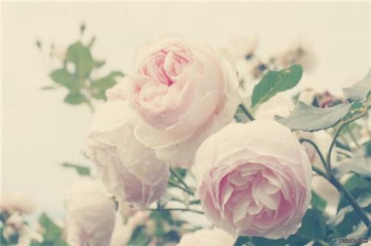 非常感人的爱情句子