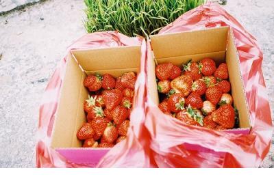 微信说说励志心情短语