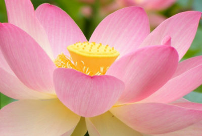 ​心塞无奈不开心的句子(36句)