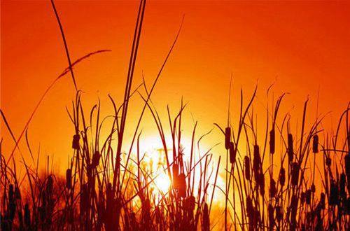 2025年简单的励志的语句摘录40条