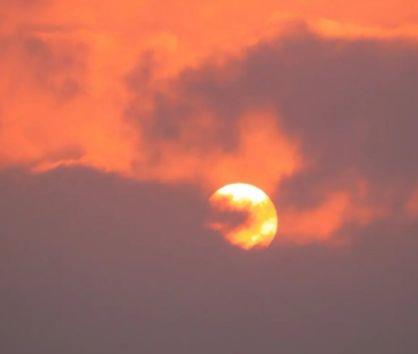 很简短的爱情表白句子