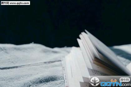 励志的句子经典优美语句摘抄