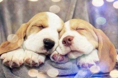 ​职场励志语录