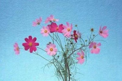 ​激励人珍惜时间的励志语录大全 珍惜时间的励志语录(精选67句)