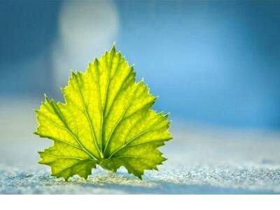 早安心语正能量一句话