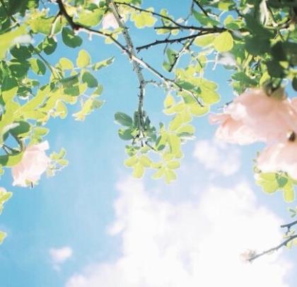 说说心情短语励志致自己