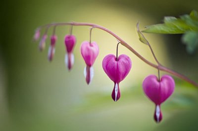 ​关于生活励志的句子82句