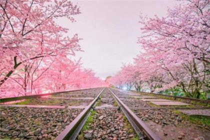 青春奋斗励志qq头像