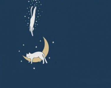 ​抖音句子励志