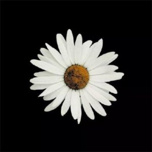 ​冬季励志句子短句唯美