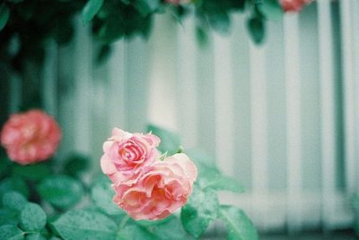 ​篮球励志语录57句