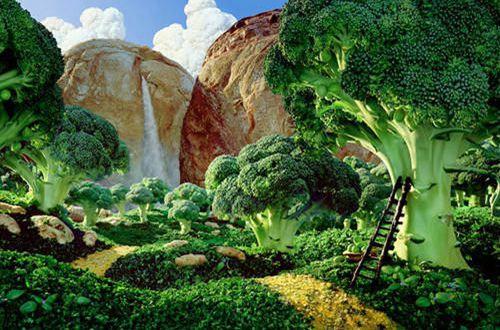 梦想励志句子摘录