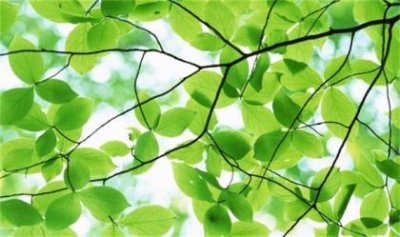 ​中考激励语 短句子