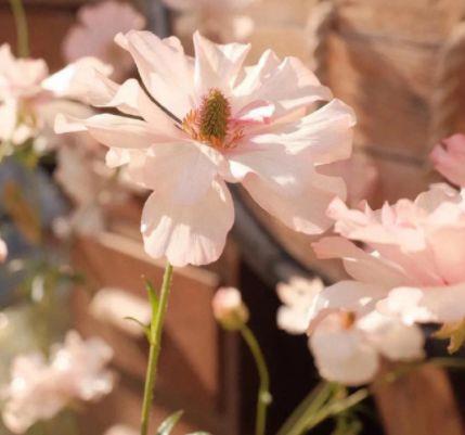 励志哲理句子图片