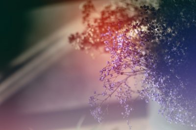 ​男孩向女孩表白的话 表白女孩的情话