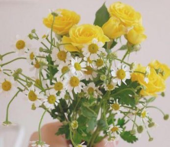 ​越是成熟的稻穗，越懂得弯腰 青春励志唯美短句推荐31句