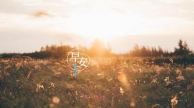 ​工作励志的句子经典（努力工作的励志句子）