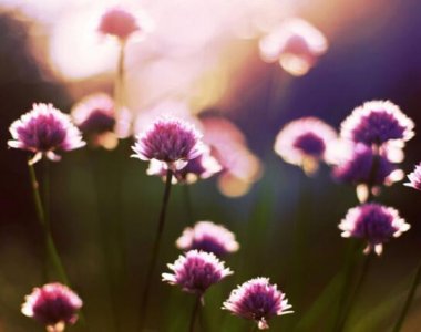 ​看大海的心情说说