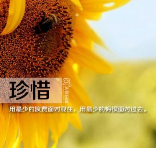 ​唯美甜蜜爱情句子简短 关于爱情甜蜜唯美句子